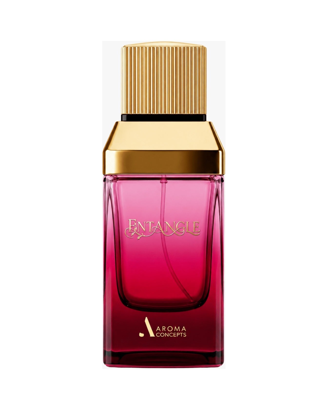Aroma Concepts Entangle (100ml) - FragranceGems