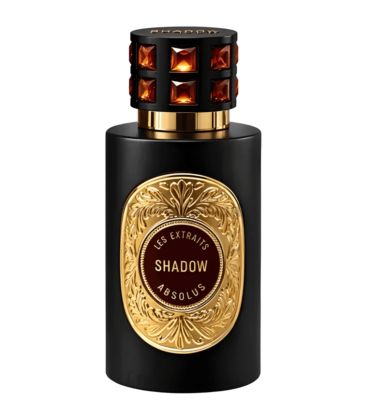 French Avenue Les Extraits Absolu - Shadow (100ml) - FragranceGems