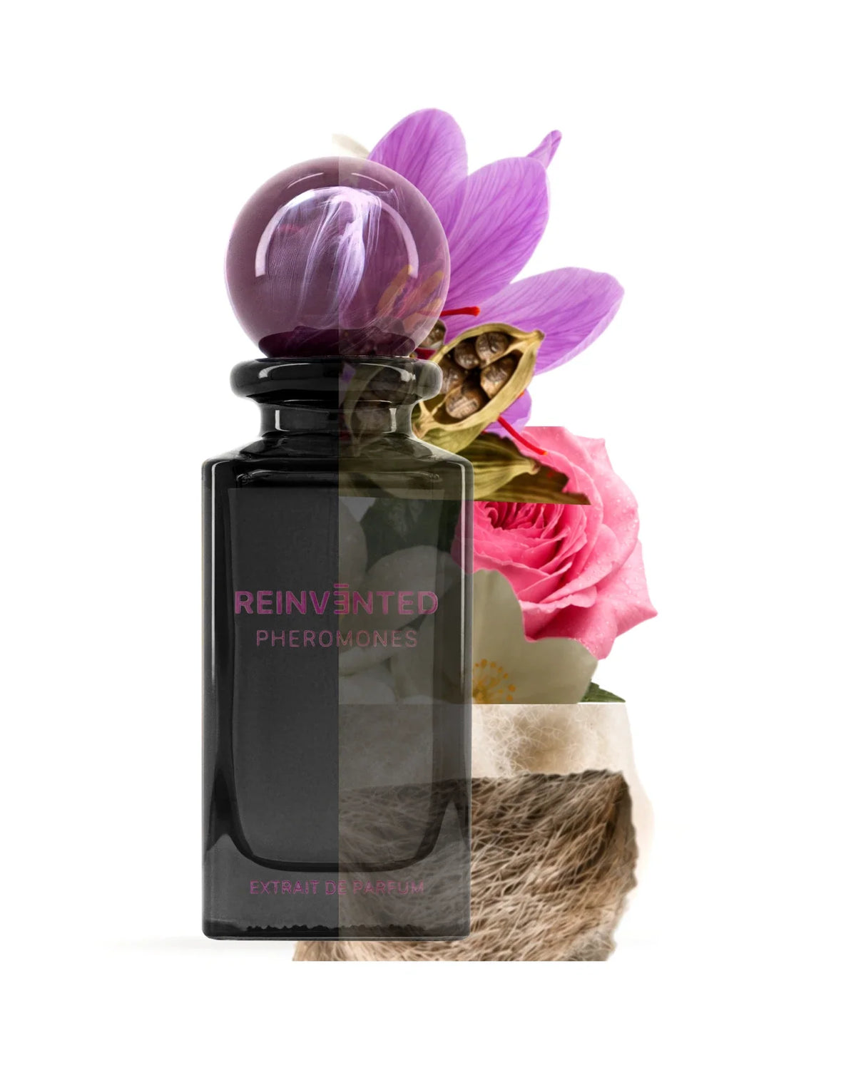 Reinvented Pheromones Extrait de Parfum (75ml) - FragranceGems, foto 5